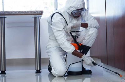 role-of-pest-control-services role-of-pest-control-services